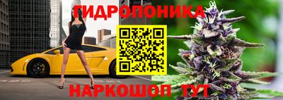 Альфа ПВП Обнинск