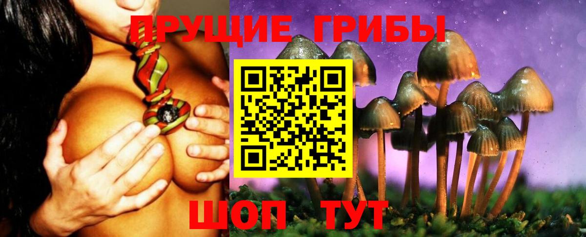 Псилоцибиновые грибы мухоморы  Вход с VPN  Новотроицк 
